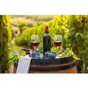 Save 19.99%! City Tour and Constantia Wineries