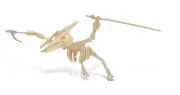 Dinosaur 3D Pteranodon Wooden Puzzle, No Glue Needed NEW