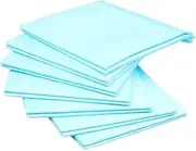 INOOMP 20 Pcs Dog Training Pads Puppy Training Pads Pet Urine Pads Pet Pee Pads Pet Puppies Pet Training Pads Pet Pads Absorbent Pads for Pets Small Dog Mat Pet Training Mats Sky-Blue