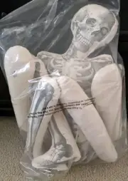 John Derian For Target 63" Skeleton Pillow Long Lost Friend Halloween Threshold