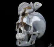 4.3" Gray & White Agate Geode Carved Crystal Skull with Chameleon, Healing