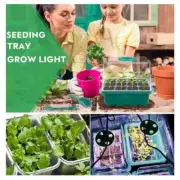1 Pack Seedling Tray with Grow Light Plant Seed Starter Trays Greenhouse Kit