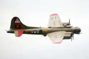 B-17 FLYING FORTRESS WWII BOMBER 8x12 GLOSSY PHOTO PRINT
