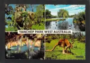 A4791 Australia WA Yanchep Park Cave Animals JECO Kruger postcard