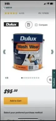 White Paint & Hog bristle Paint For Walls