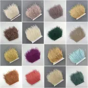 120 Color 10 Meter Ostrich Feather Trims 8-15cm/3-6inch Fluffy Plumes On Ribbon