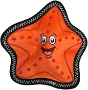 Waggly DuraPlay Starfish Dog Toy | Tough Stitch Stuffingless Durable Tough Plush Toy for Dogs | Tough Squeaky Dog Toy