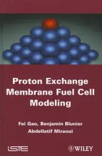 在飛比找博客來優惠-Proton Exchange Membrane Fuel 