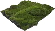 Artificial Moss Turf Mat Large Faux Grass Rug Realistic Look for Garden DIY Projects Home Decor