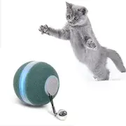 Smart Ball Toy For Indoor Cats