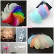 100x Goose Feathers 6-12cm Event Costume Wedding Party Dream Catcher Craft