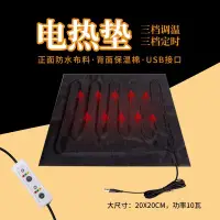 在飛比找蝦皮購物優惠-電熱毯 坐墊 加熱墊 usb加熱墊 usb電熱毯 暖腳 電熱