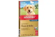 Advantix for Dogs over 25 kgs - 6 Pack - Blue - Flea, Tick & Insect Control