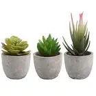 Living Space Decoration Artificial Succulents Easy To Care Indoor Plants