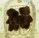 【震撼精品百貨】泰迪熊 Teddy Bear 2入髮束-咖啡 震撼日式精品百貨