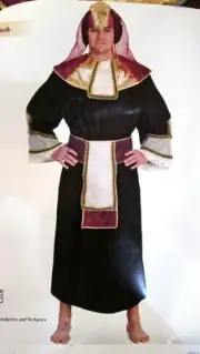 Egyptian Costume Adult Pharaoh Halloween Fancy Dress NIP complete 4 pieces L