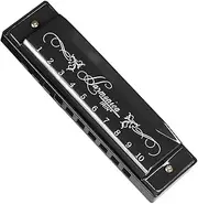 Woodwind Instrument C Key Stainless Steel Cover Harmonica 10 Hole 20 Tone Lightweight Harmonica Mouth Organ for Beginners/Students/Teaching/Friends Gift