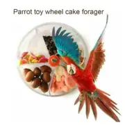 Parrot Gnawing Toy Bird Toy Wheel Cake Foraging Food Interactive Feeding Toy For