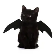 Pet Cosplay Supplies Cute Black for Vampire Costume Party Accessories for Cat Do