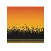 Sunset Grass Face Towel, Bath Towel, Eco-Friendly Gifts, Home Decor, Spa