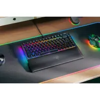 在飛比找蝦皮購物優惠-【玩家殿堂】Razer BlackWidow V4 75% 