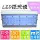 LED探照燈系列 (台灣製) 50W↗防水↗紫外光(380-400nm) 【＊投射燈 工作燈 洗牆燈 投光燈 照明燈 廣告燈】