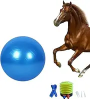 Chyesong Horse Ball Training Toy, Anti-Burst Horse Exercise Ball Toy with Inflator Pump for Horse Lamb Goat Enterainment Toy Ball(25 Inch,Blue)