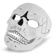 Scary Skull Skeleton Full Face Mask Carnival Costume Ghost Party Resin Masks