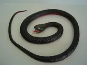 Wild Republic Snake Plush, Snake Stuffed Animal, Plush Toy, Gifts Kids, Black Red Bellied, 46 Inches