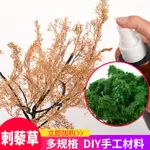 *米老鼠王國* 廠家直銷 刺藜草 DIY手工制作模型刺藜草 仿真樹微景觀裝飾