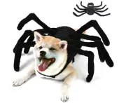 Dog Halloween Costumes Spider