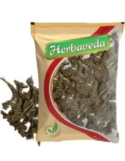 Osha root 100g | Promotes digestion