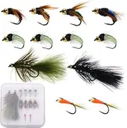 IEVEI Fly Fishing Flies Kit, Premium Hand-Tied Fly Fishing Flies Assortment, Dry/Wet Flies, Nymphs Scud Streamers Flies with Portable Fly Fishing Box for Trout Bass Fishing Lures