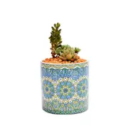 Cute Mini Mandala Succulent Nordic Colour Pot Baskets Pots Window Boxes