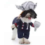 Funny Sailor Dog Costume