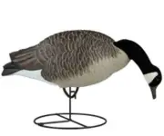 NEW Dakota Decoy 19200 Waterfowl Hunting Signature Series Feeder Geese (6 Pack)