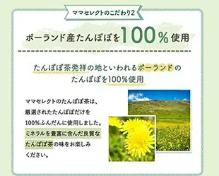 【蒲公英茶 2g×30包入】空運 日本製 綠茶 煎茶 抹茶 茶包 飲品 下午茶 開會 茶飲【小福部屋】