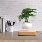 Levitating Pot Aerial Creative Decoration Suspended Wood Grain Pot Plant 994