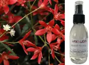 Christmas Bush - Room & Linen Spray