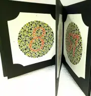 Hot offer Ishihara Book for colour deficiency Test Book Free Shipping