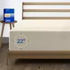 Thread Spread Luxury Egyptian Cotton Twin Fitted Sheet Only - 1000-Thread-Count