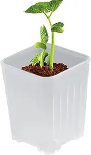 Nursery Pots - Flower Seedling Nursery Pots | 10X Small Seedling Holder with Drainage Holes for Succulents and Cuttings Desktop Yard Living Room Balcony Garden