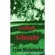 Gullah Ghosts: Stories and Folktales from Brookgreen Gardens in the South Carolina Lowcountry With Notes on Gullah Culture and H