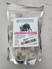 Reef Hermit Crab Shell Mix Spare Shells for Most Saltwater Hermit Crabs 12 OZ -