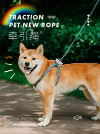 在飛比找樂天市場購物網優惠-狗狗牽引繩遛狗繩狗鏈子小型犬寵物狗牽引繩遛狗繩泰迪比熊牽引繩