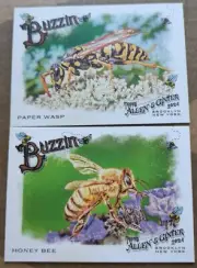 2024 Topps Allen & Ginter Buzzin Insert 2 Card Lot Card #BUZ-14 And #BUZ-2