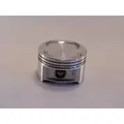 Austral Piston And Ring Set - P1346 020