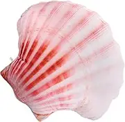 Gatuida Shell Shaped Plush Pillow Cute Throw Pillow for Adorable Ocean Inspired Decorative Cushion for Home Decor