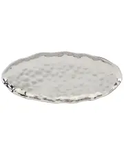 Certified International Silver Coast Oval Fish Platter