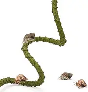 Poen Hermit Crab Climbing Toy Hermit Crab Supplies Bendable Reptile Vine Hermit Crab Climbing Vine Hermit Crab Tank Accessories Artificial Jungle Vine Lizard Gecko Snake Frog Terrarium Habitat Decor